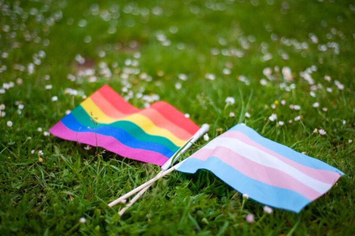 trans-flag-1